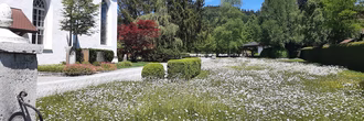 Kirche Frühling 1
